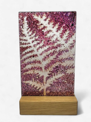 image 32.png